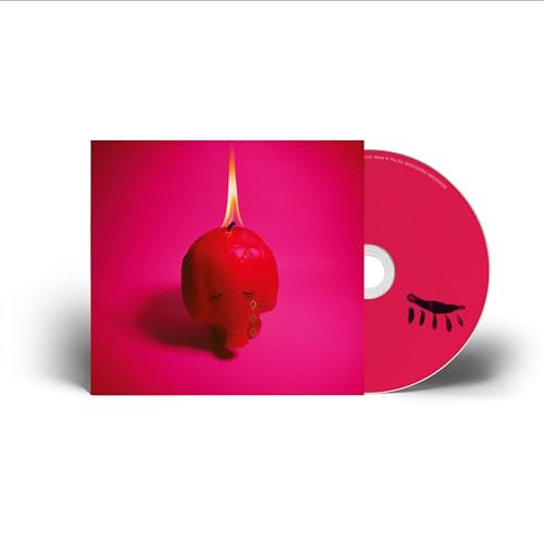 Pink Elephant by Arcade Fire