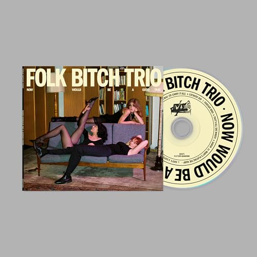 Now Would Be A Good Time by Folk Bitch Trio