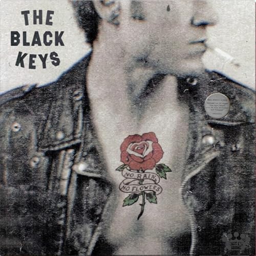 No Rain, No Flowers album cover