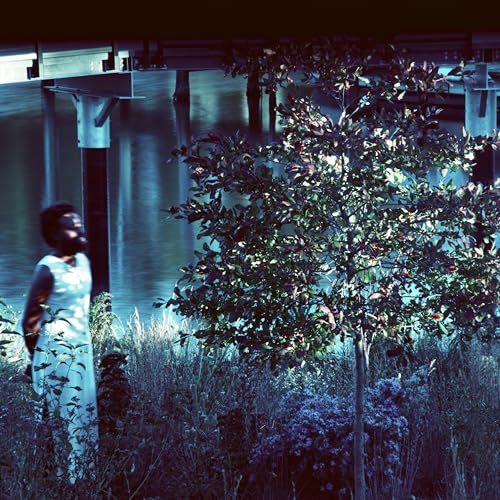 Vesper Sparrow by JJJJJerome Ellis Album Cover