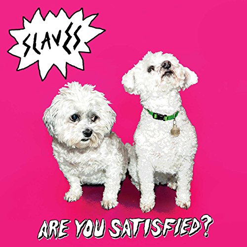 Are You Satisfied? by Slaves
