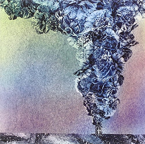 Carnation by Daughn Gibson
