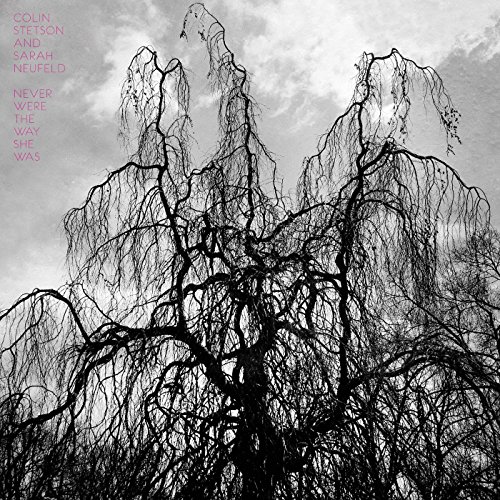 Never Were the Way She Was by Colin Stetson