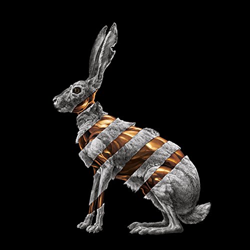 Jackrabbit by San Fermin Album Cover