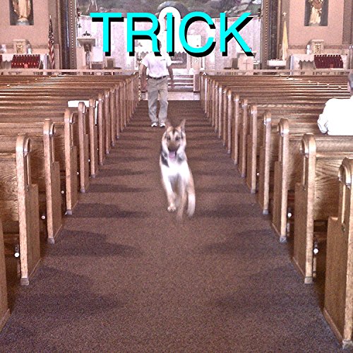 Trick by Alex G