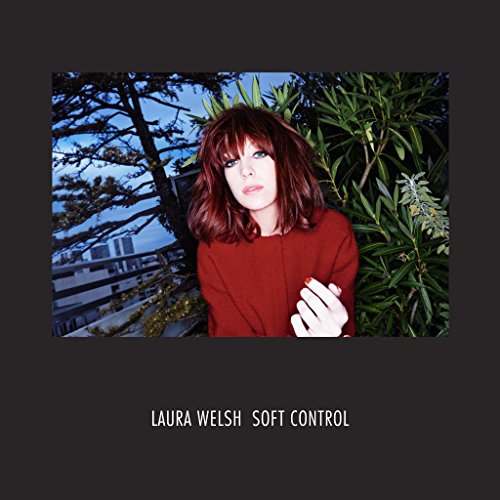 Soft Control by Laura Welsh