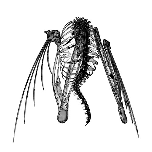 Heterocetera [EP] by Lotic Album Cover