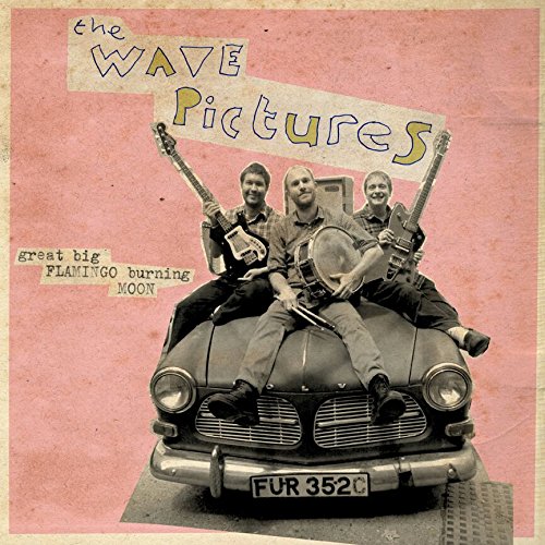 Great Big Flamingo Burning Moon by The Wave Pictures Album Cover