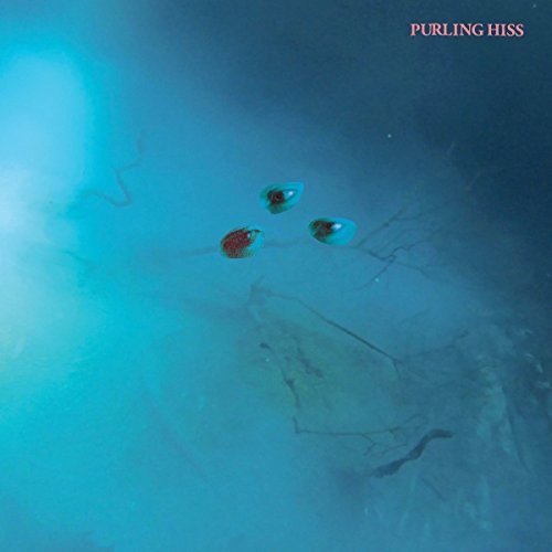 High Bias by Purling Hiss Album Cover