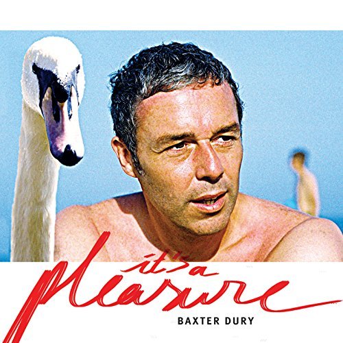It's a Pleasure by Baxter Dury Album Cover