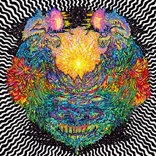 Meatbodies by Meatbodies Album Cover