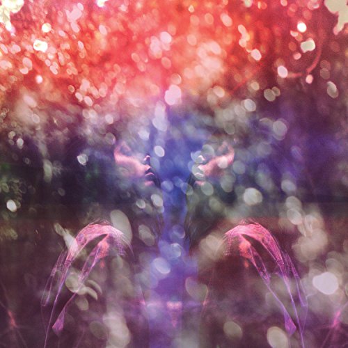 Fair Youth by Maybeshewill Album Cover