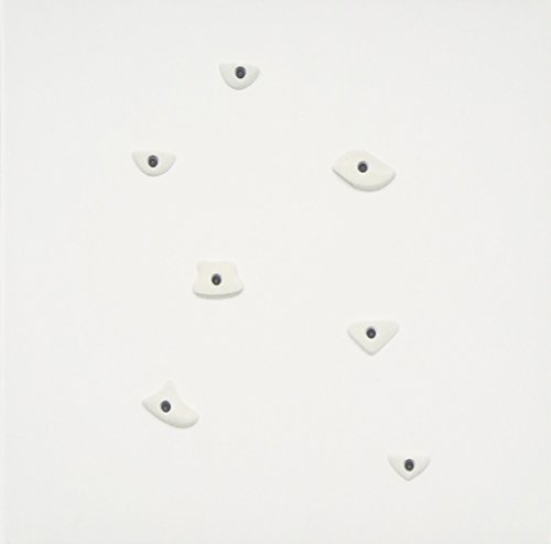 Await Barbarians by Alexis Taylor Album Cover