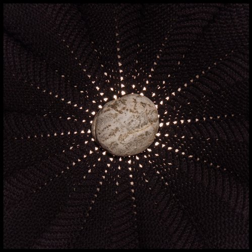 In the Hollows by Nat Baldwin Album Cover