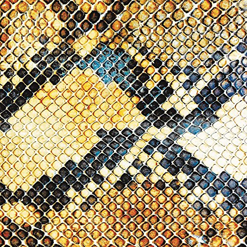 Amphetamine Ballads by The Amazing Snakeheads