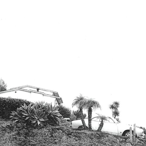 Hot Dreams by Timber Timbre Album Cover