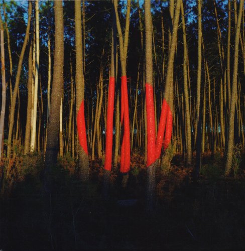 Piano Ombre by François & the Atlas Mountains