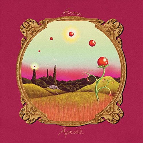 Physicalist by Forma