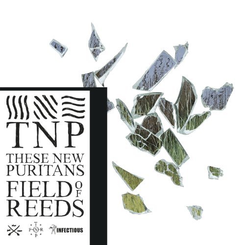 Field of Reeds by These New Puritans