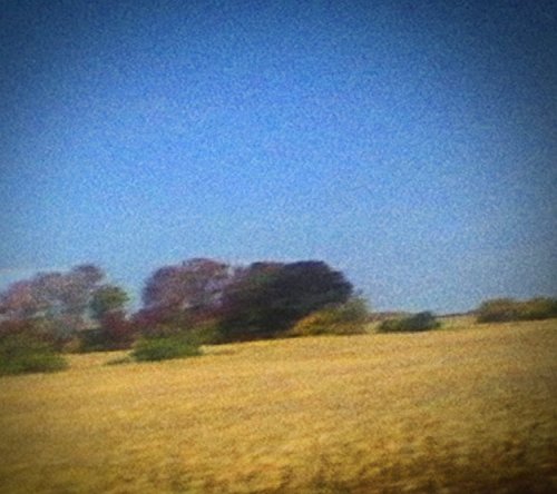 Benji by Sun Kil Moon Album Cover