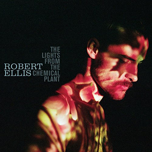 The Lights from the Chemical Plant by Robert Ellis
