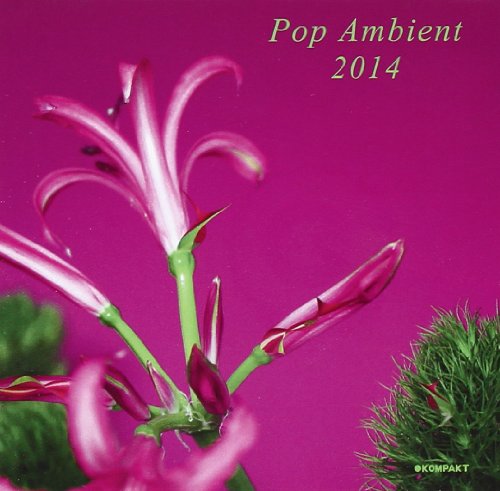 Pop Ambient 2014 by Various Artists