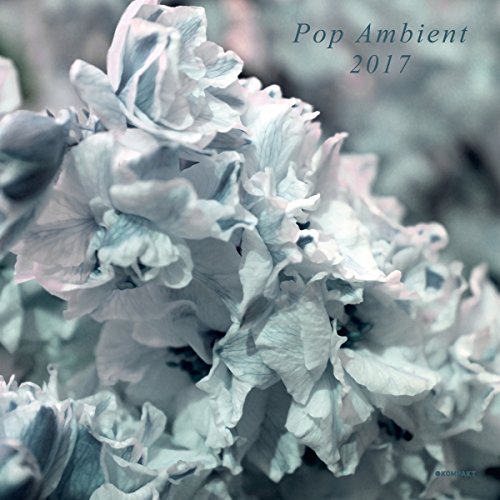 Pop Ambient 2017 by Various Artists