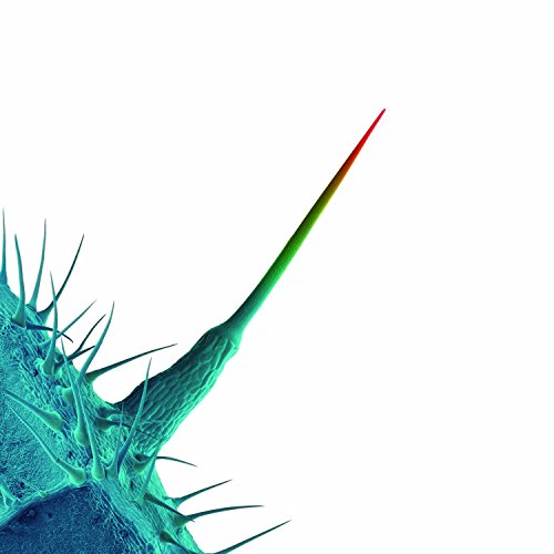 Peter Gabriel Tribute Album: And I'll Scratch Yours by Various Artists