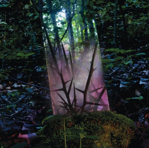 Stealth of Days by Jensen Sportag