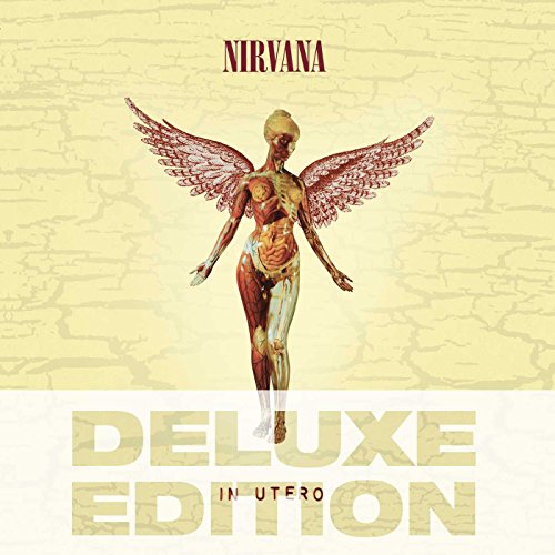 In Utero [20th Anniversary Edition] by Nirvana Album Cover