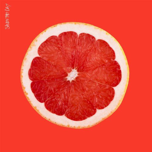 Saves the Day by Saves the Day Album Cover