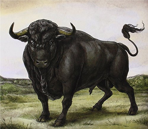 San Fermin by San Fermin Album Cover