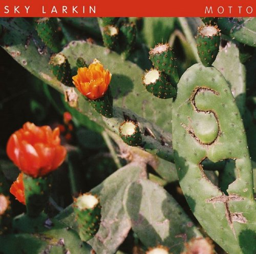 Motto by Sky Larkin