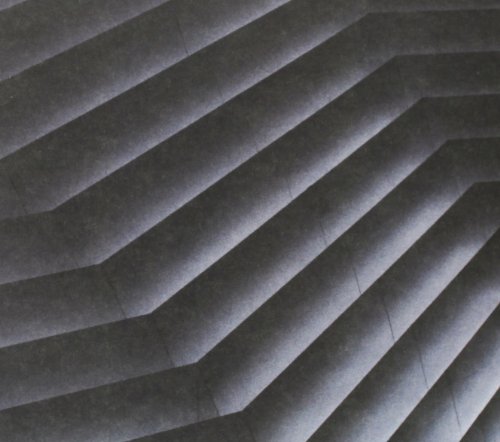 Era by Disappears