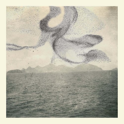 A Small Murmuration by Snow Ghosts