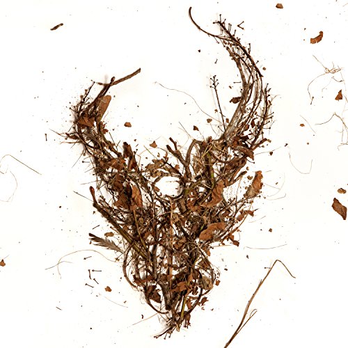 Queensrÿche [2013] by Queensrÿche Album Cover