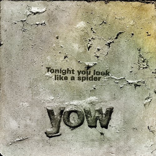 Tonight You Look Like a Spider by David Yow Album Cover