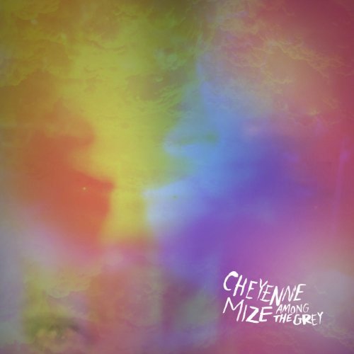 Among the Grey by Cheyenne Mize