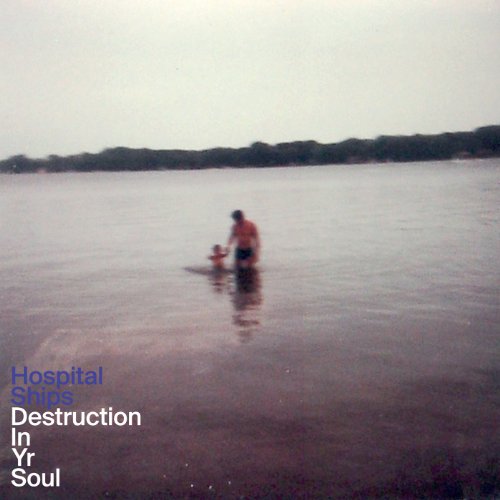 Destruction in Yr Soul by Hospital Ships