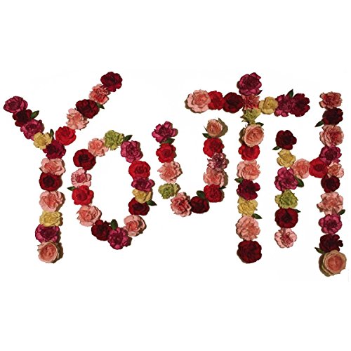 Youth by Citizen