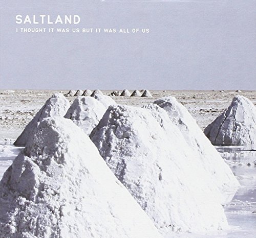 I Thought It Was Us But It Was All of Us by Saltland