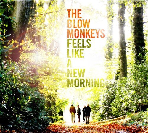 Feels Like a New Morning by The Blow Monkeys