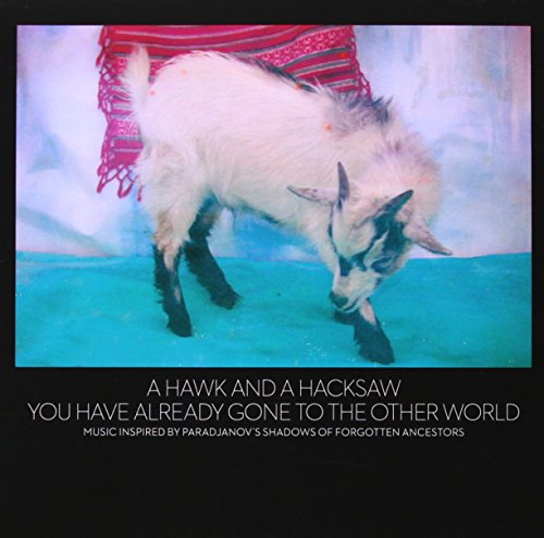You Have Already Gone to the Other World by A Hawk and a Hacksaw