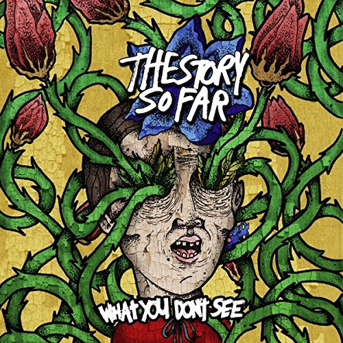 What You Don't See by The Story So Far
