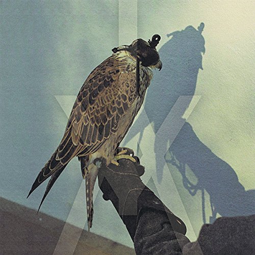 You're Nothing by Iceage