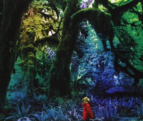 Cabinet of Curiosities by Jacco Gardner