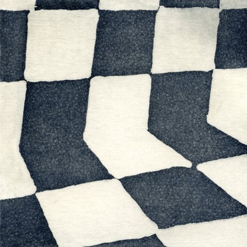 The Flower Lane by Ducktails Album Cover