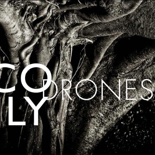 Drones by Nico Muhly