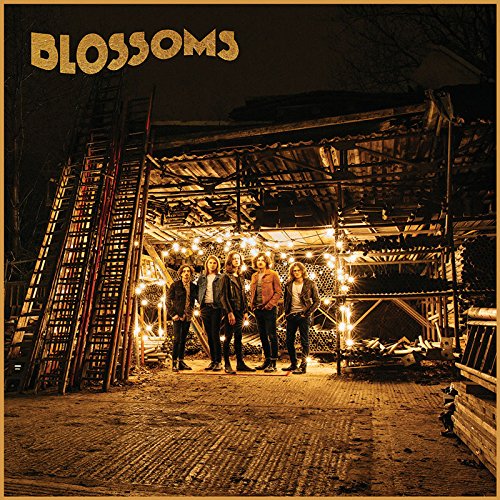 Blossoms by Blossoms Album Cover