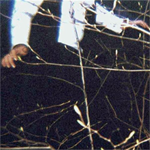 The Wilderness by Cemeteries Album Cover